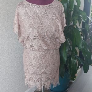 Elegant Lace Dress in Light Pink